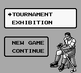 World Ice Hockey screenshot 5 for GameBoy
